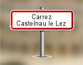 Loi Carrez à